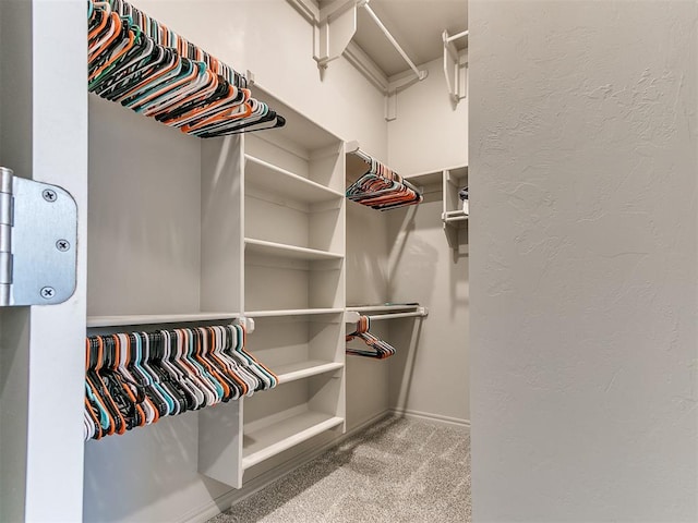 spacious closet with light carpet