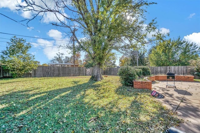 view of yard featuring a patio area