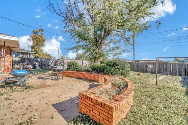 view of yard with a patio area