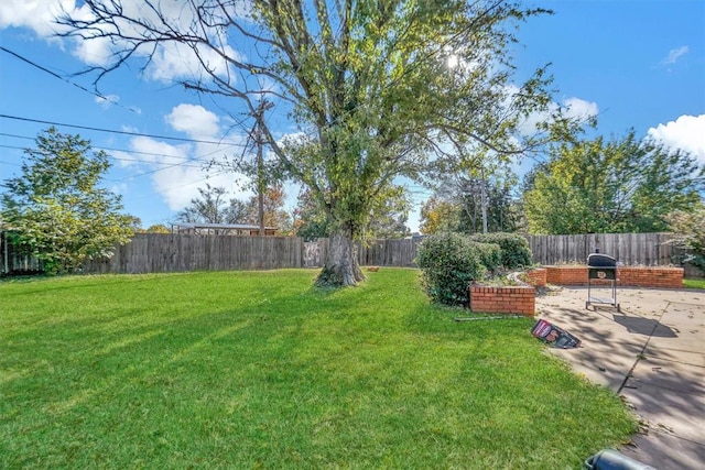 view of yard with a patio area