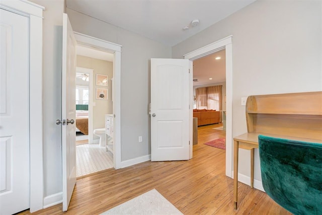 interior space with multiple windows, ensuite bath, and light wood-type flooring