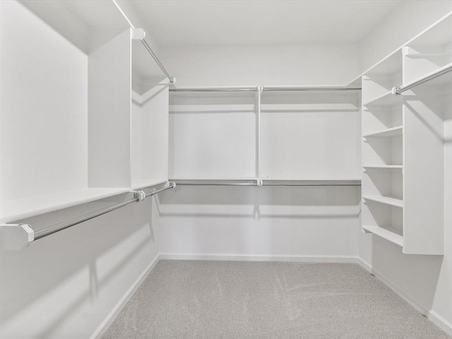 walk in closet with light colored carpet