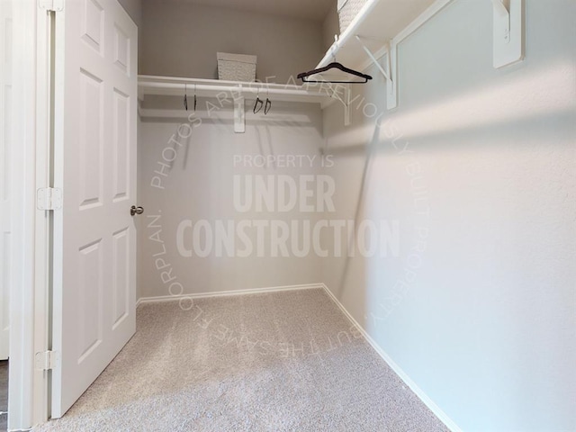 spacious closet featuring carpet floors