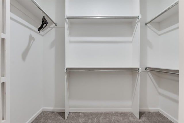 walk in closet with carpet floors