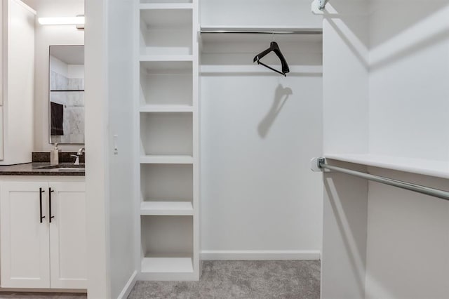 spacious closet with light carpet and sink