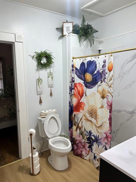 bathroom with hardwood / wood-style floors, vanity, toilet, and a shower with shower curtain