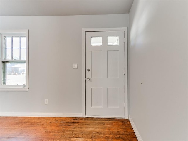 foyer with wood-type flooring