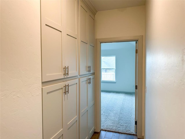 hallway featuring wood-type flooring