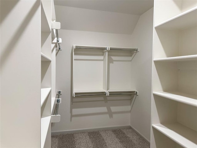 walk in closet with carpet floors