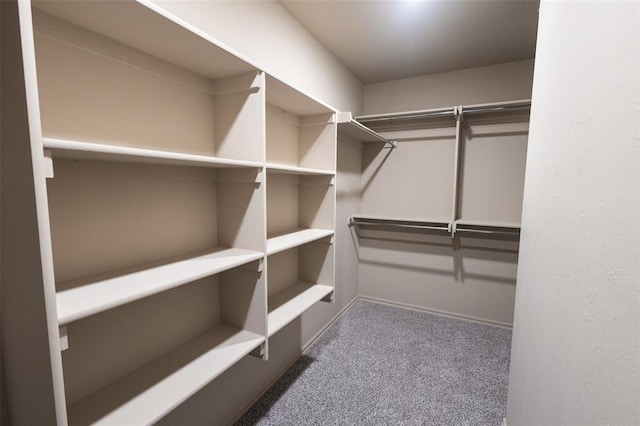 walk in closet with dark colored carpet