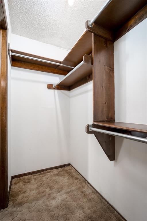 walk in closet with carpet