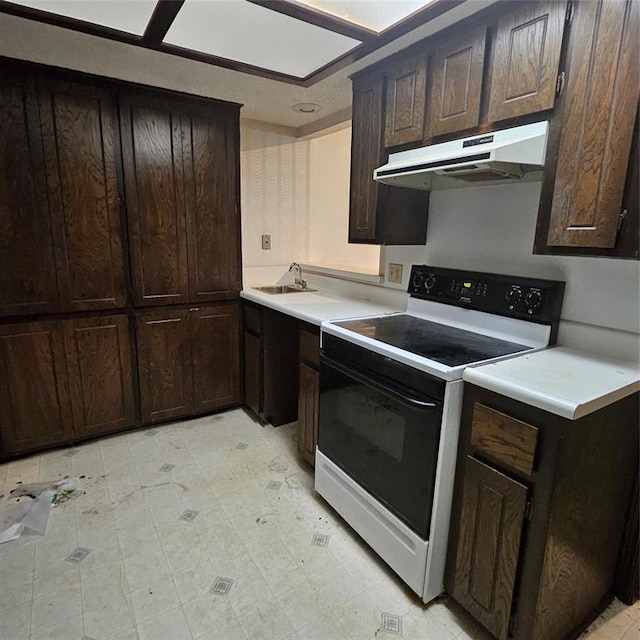 kitchen featuring sink, dark brown cabinetry, and electric stove