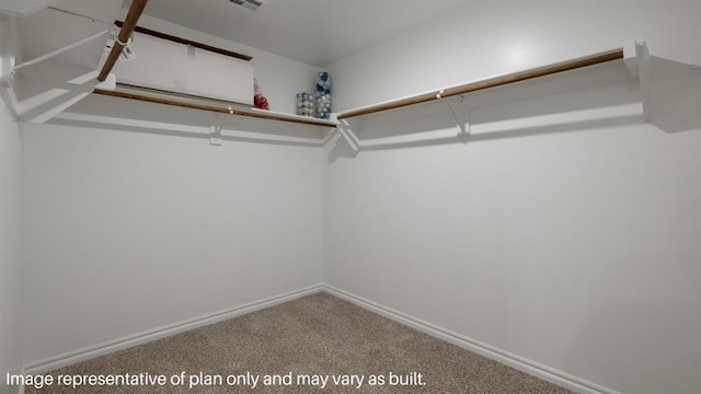 spacious closet featuring carpet and visible vents