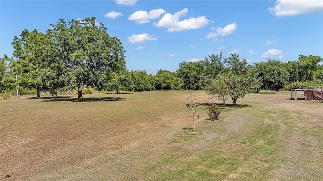 view of yard featuring a rural view