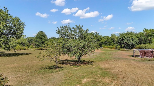 view of yard featuring a rural view