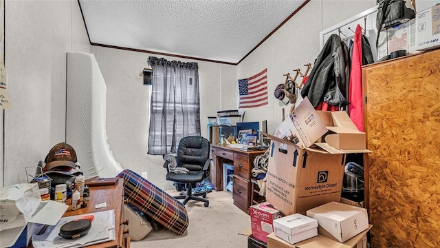 carpeted office with crown molding and a textured ceiling