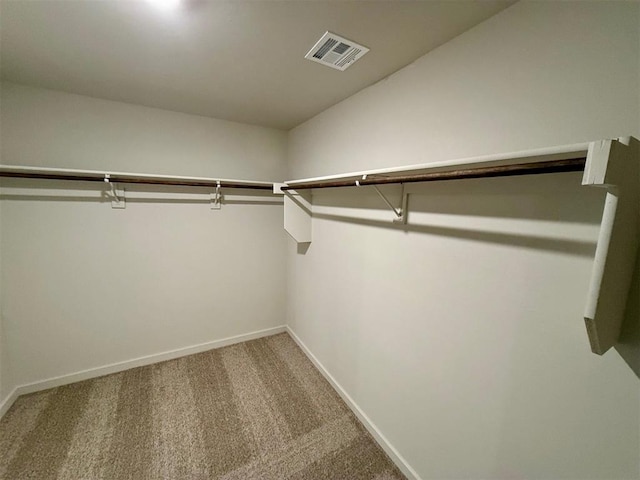 spacious closet featuring carpet flooring