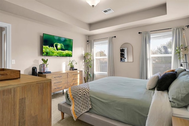 carpeted bedroom featuring a tray ceiling and multiple windows