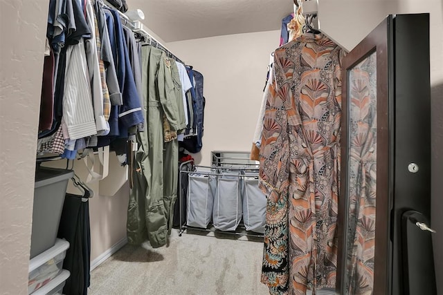 spacious closet featuring carpet flooring