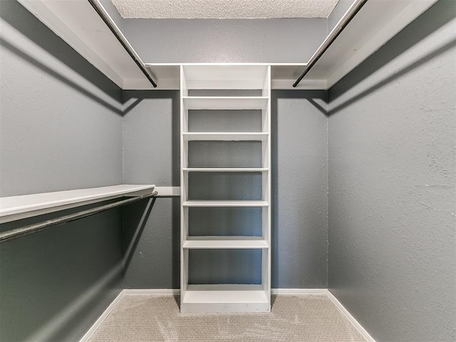 walk in closet with carpet floors