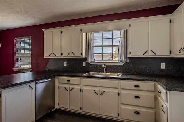 kitchen featuring white cabinetry, stainless steel dishwasher, and a healthy amount of sunlight