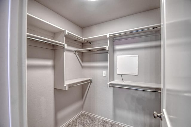 spacious closet with carpet floors