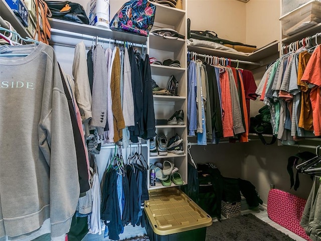 view of spacious closet