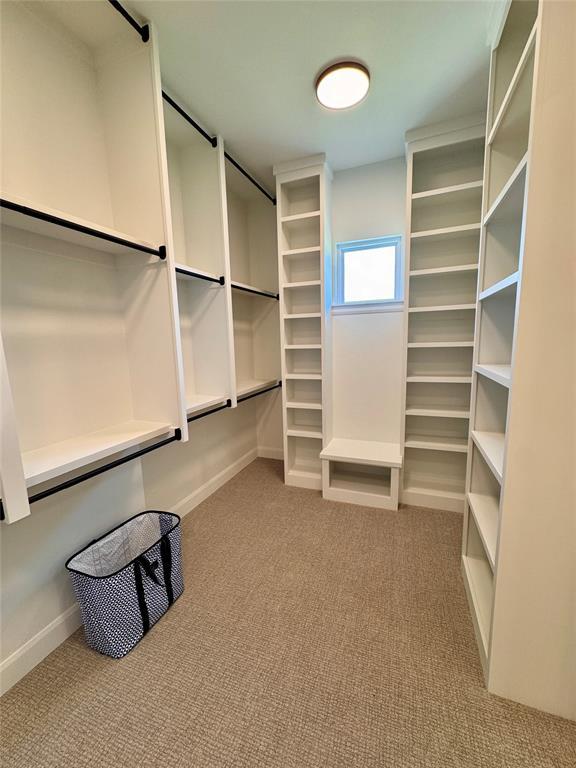 8409 NW 128th St, Oklahoma City, OK 73142 - walk in closet with carpet flooring