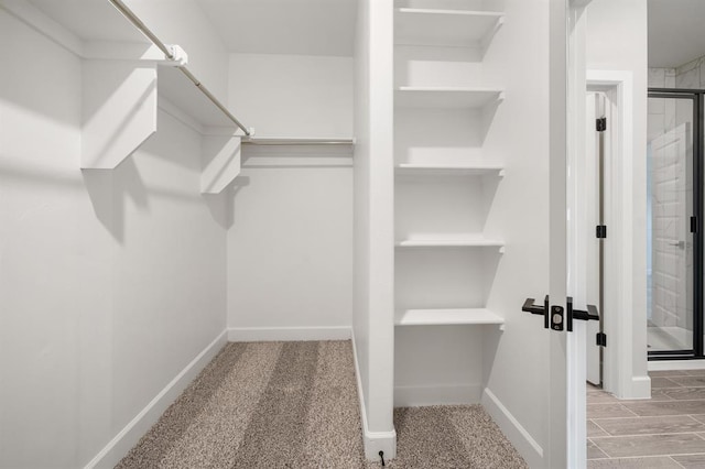 walk in closet featuring light carpet