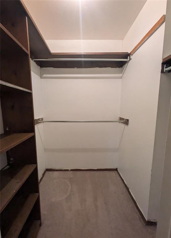 walk in closet with carpet