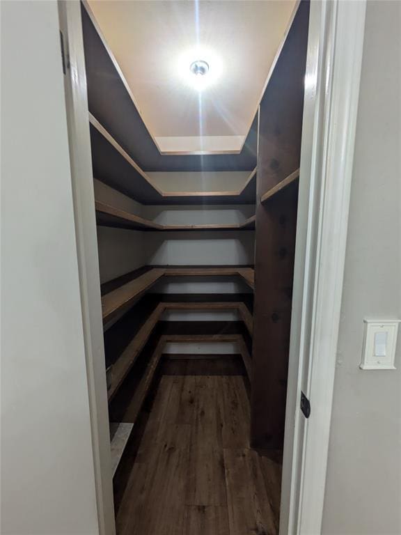 walk in closet featuring dark wood-type flooring