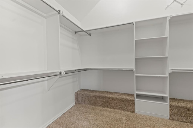 spacious closet with carpet flooring and lofted ceiling