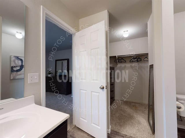 bathroom with vanity