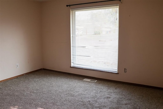 spare room with carpet floors and a wealth of natural light