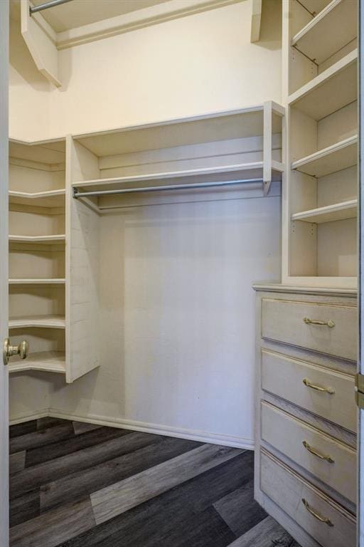 spacious closet featuring dark hardwood / wood-style flooring