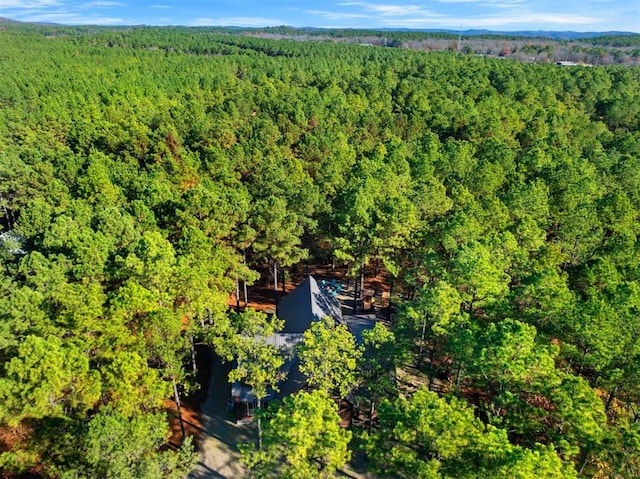 607 Sugar Pine Loop, Broken Bow, OK 74728 - bird's eye view of a forest