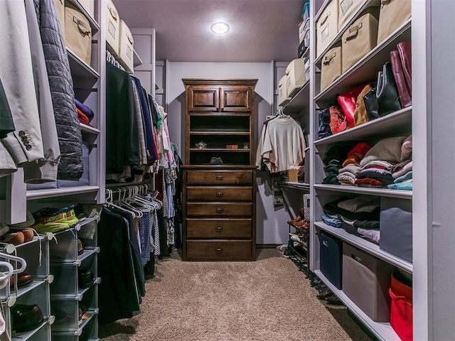 spacious closet featuring carpet