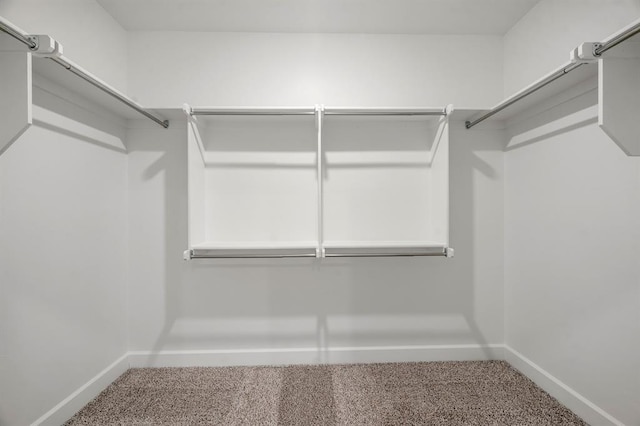 walk in closet with carpet