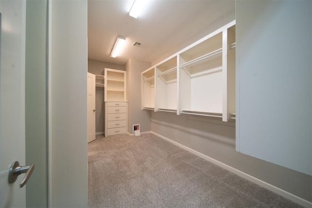 walk in closet with carpet flooring