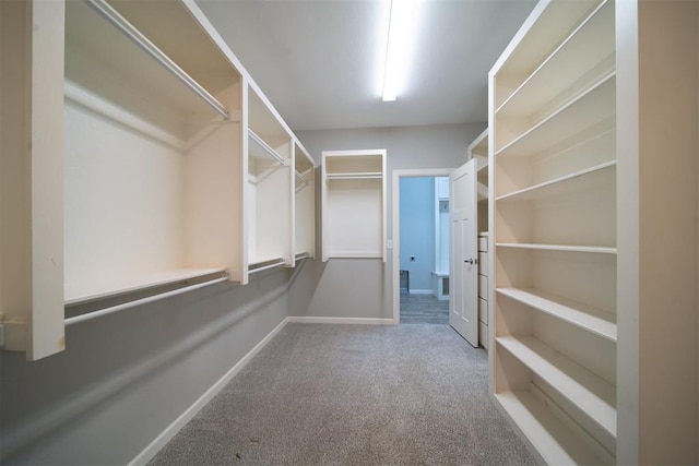 spacious closet featuring carpet floors