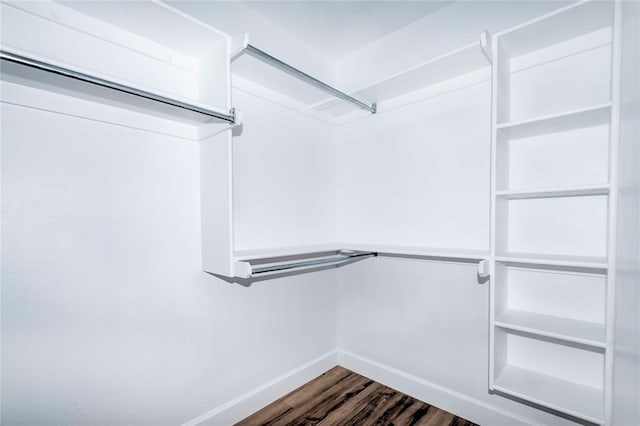 spacious closet with dark wood-type flooring