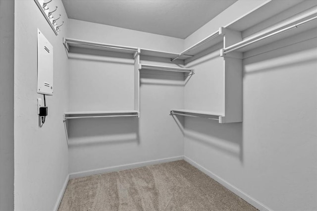 spacious closet featuring light carpet