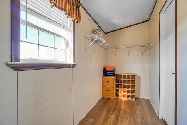 walk in closet with dark hardwood / wood-style floors and vaulted ceiling