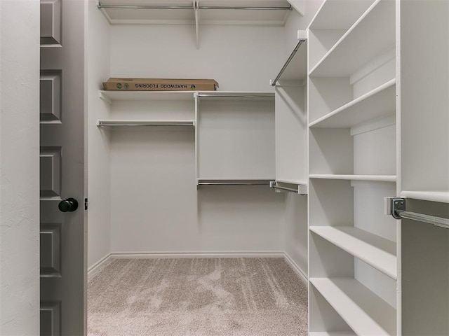 spacious closet with carpet floors