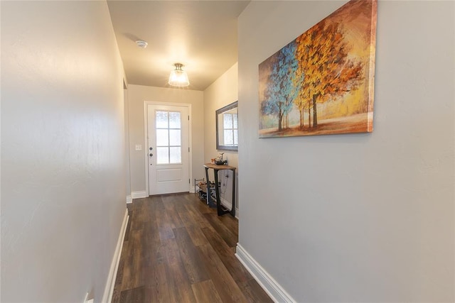 entryway featuring dark wood-type flooring