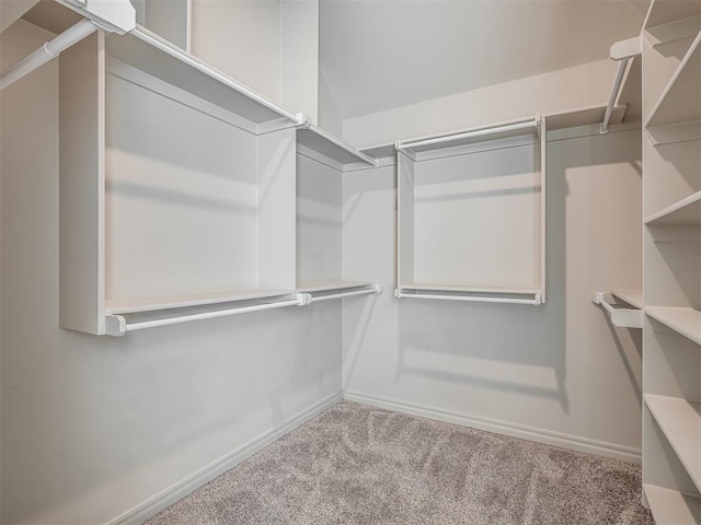 spacious closet with carpet and vaulted ceiling