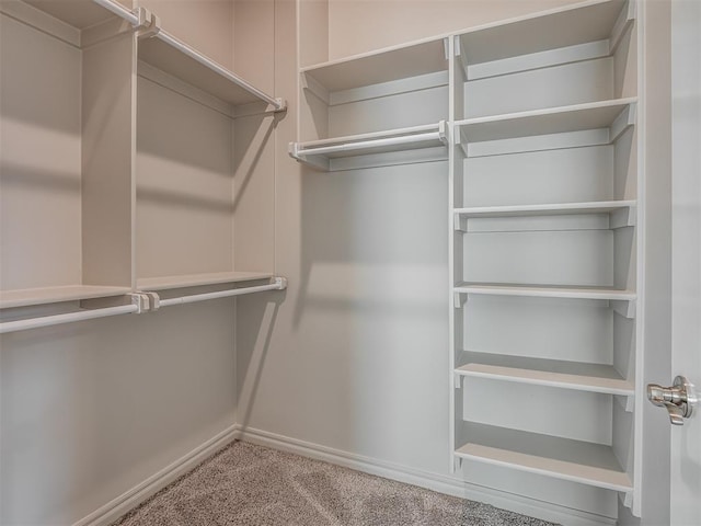 walk in closet featuring carpet flooring