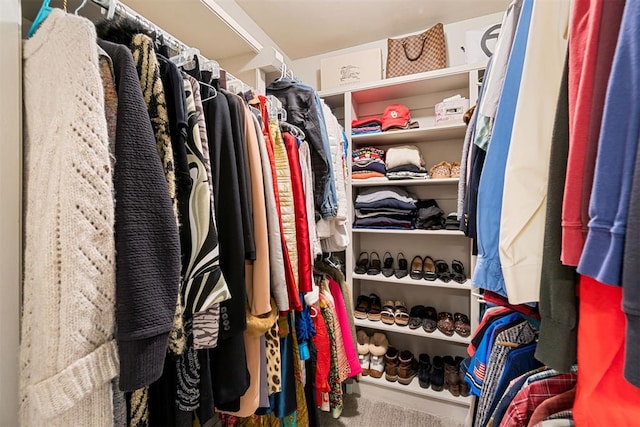 view of spacious closet