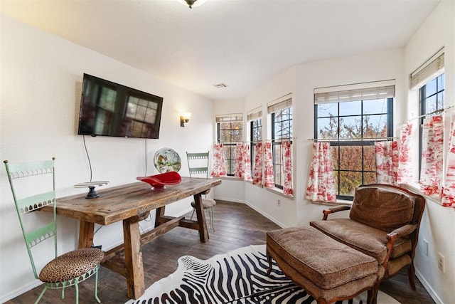 home office with dark hardwood / wood-style floors and a wealth of natural light