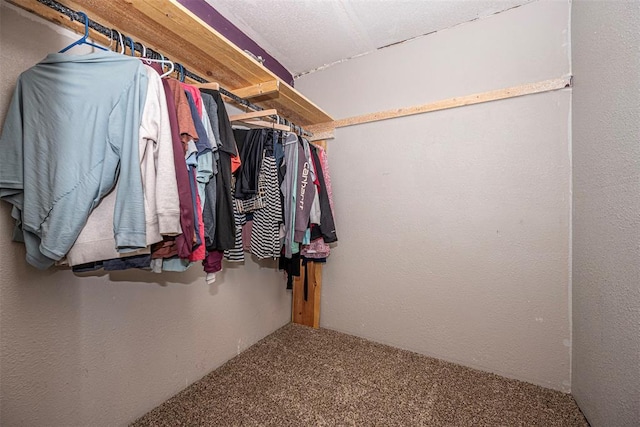 spacious closet featuring carpet flooring